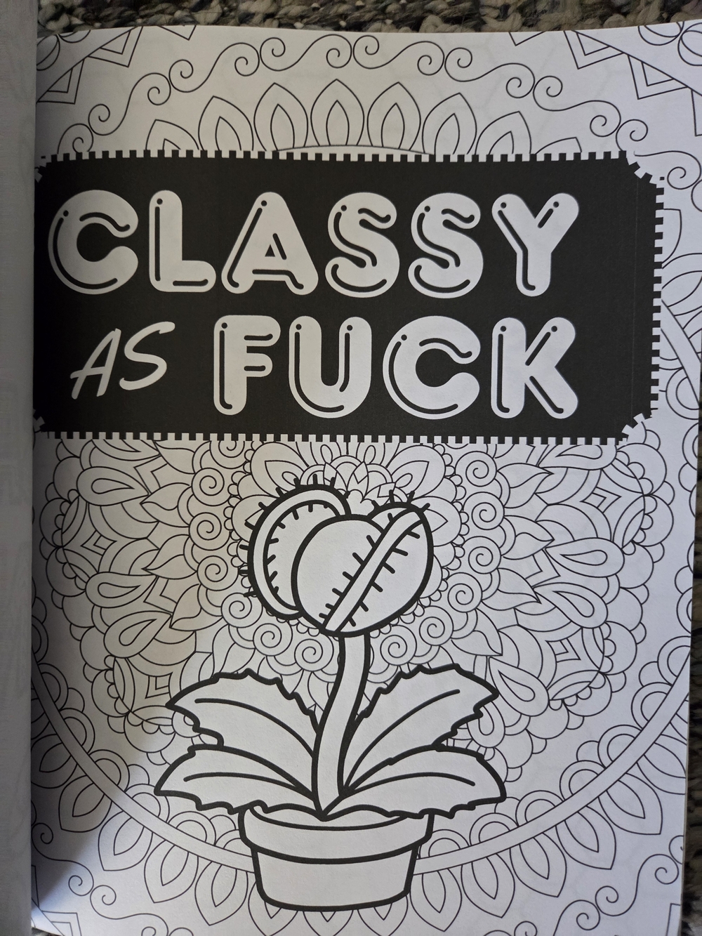 Go Lick a Cactus Adult Swear Words Coloring Book - Pink Green Black Design - Picture 2 of 8